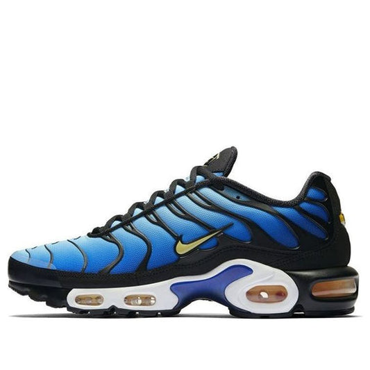 Nike Air Max Tn